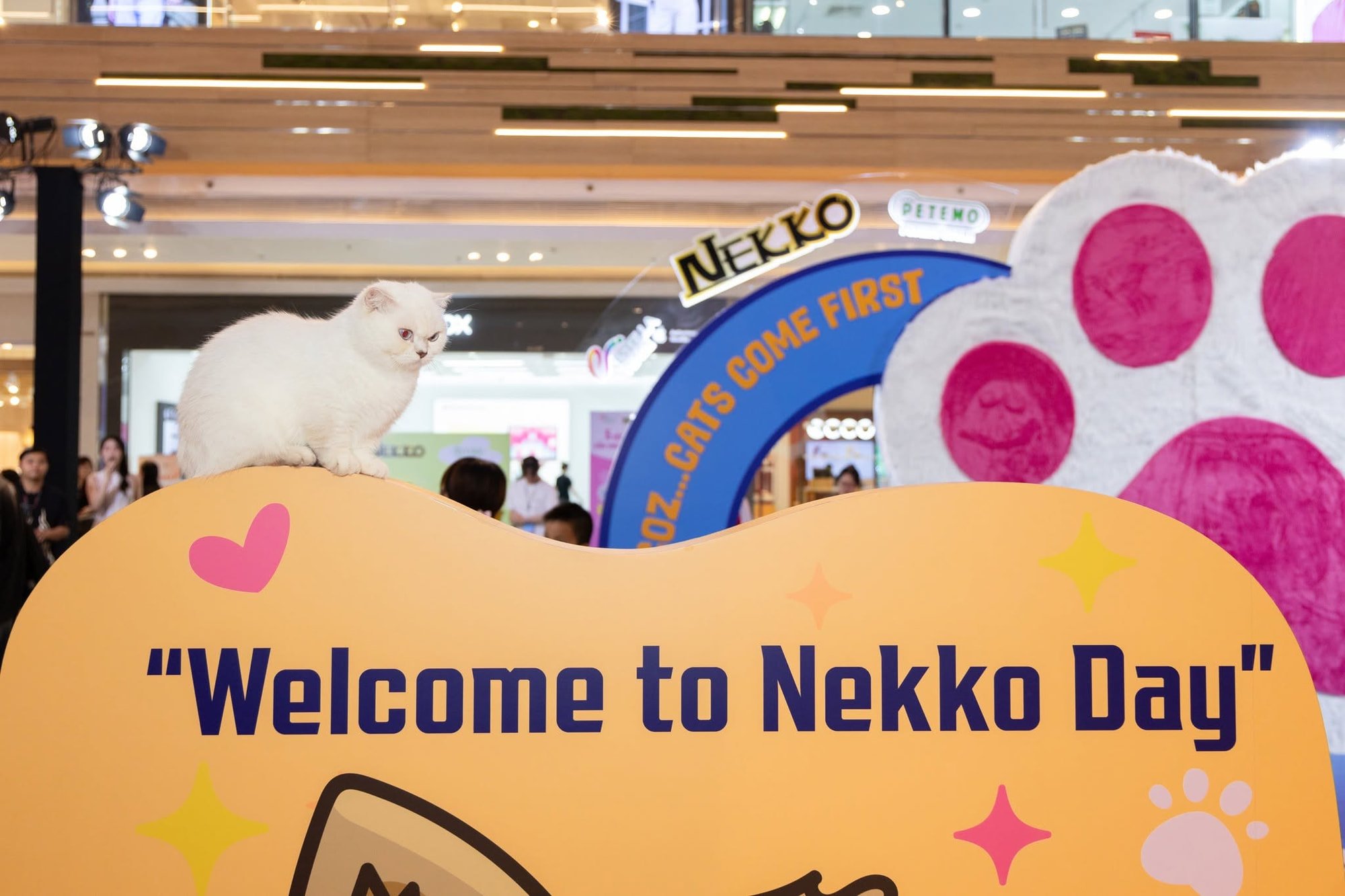 NEKKO — image 7 of 8